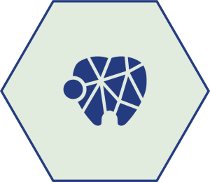 Icon Laborator de Tehnici Digitale în Stomatologie